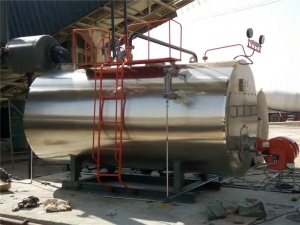 安徽亳州太安堂制藥集團2噸燃氣鍋爐